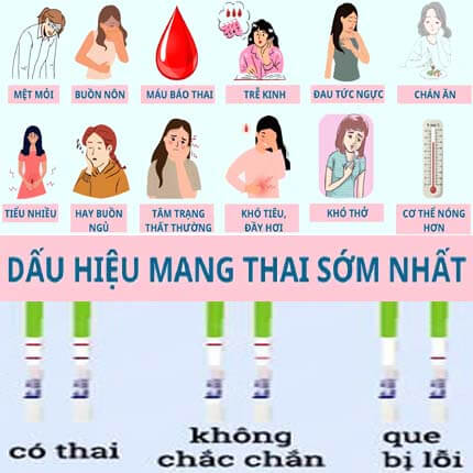 Tổng hợp 12 dấu hiệu mang thai sớm sau 1 tuần, 2 tuần đầu